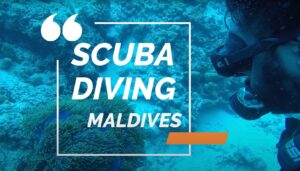 Scuba Diving