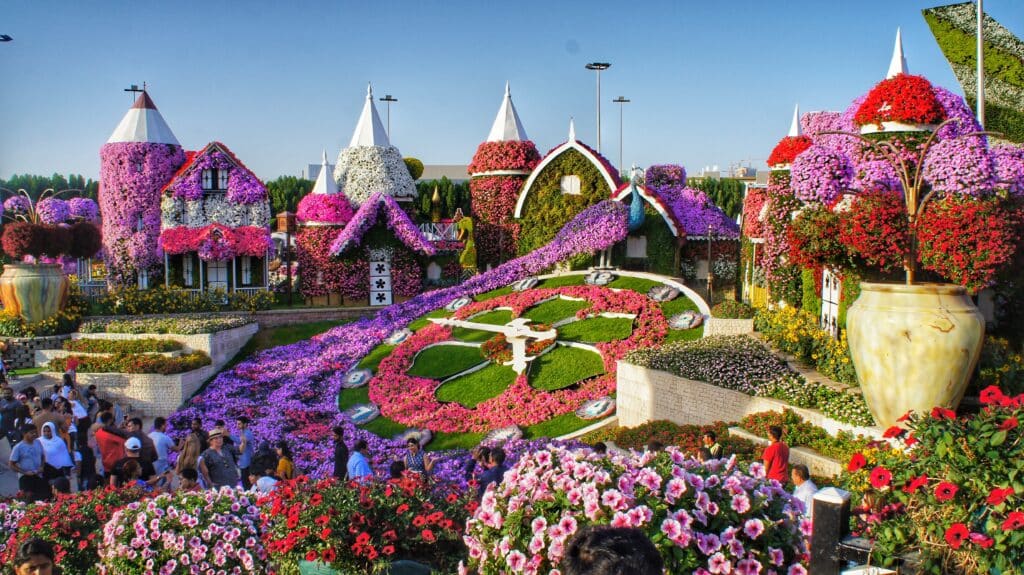 Top 5 things to do in Dubai